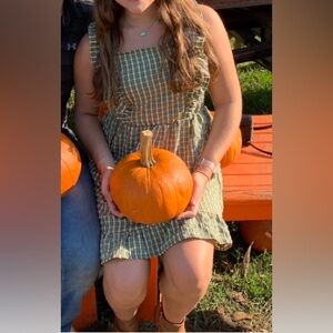 Green and yellow gingham dress worn only